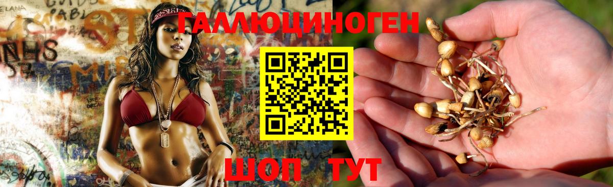 Псилоцибиновые грибы Magic Shrooms  Псилоцибиновые грибы Magic Shrooms  Бугуруслан  Вход с VPN 